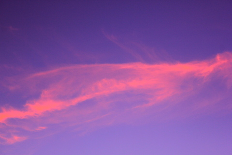 a0248459_3132653.jpg