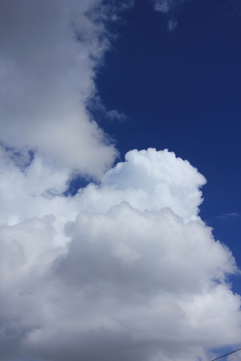 a0248459_910026.jpg