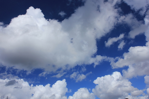 a0248459_9101385.jpg