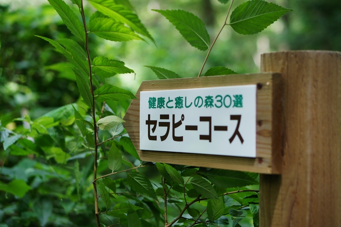 a0267860_17244329.jpg
