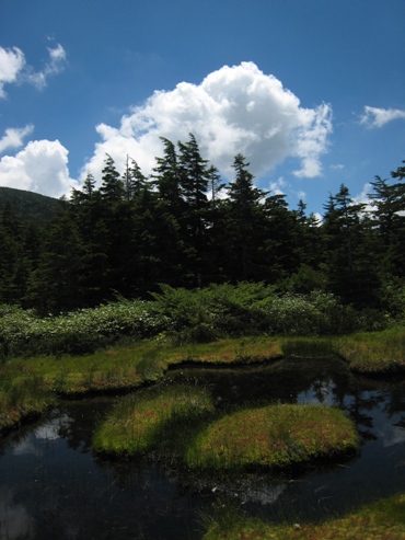 e0015964_22412297.jpg