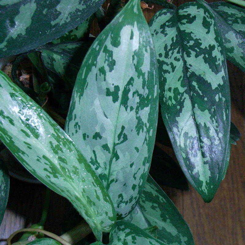 d0249970_23361610.jpg