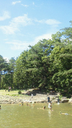 b0175571_16443558.jpg