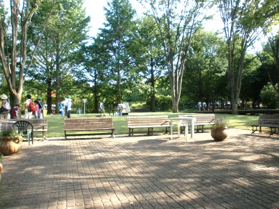 c0112172_11354651.jpg