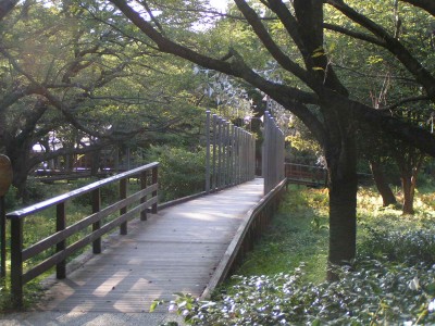 c0112172_11365311.jpg