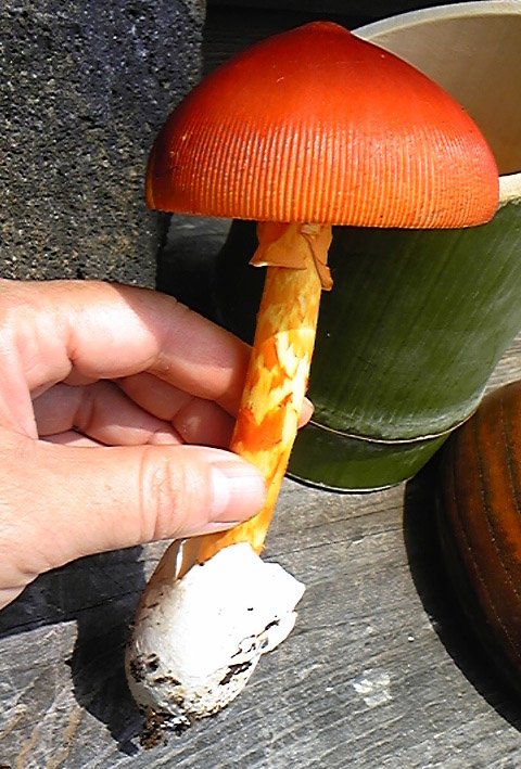 e0118274_2265149.jpg