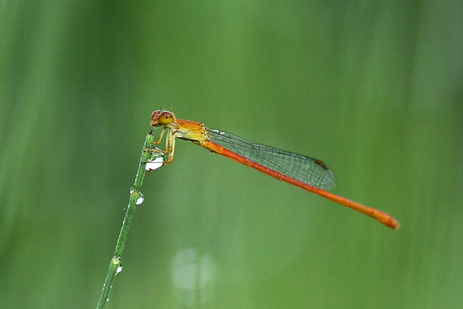 e0249878_075793.jpg