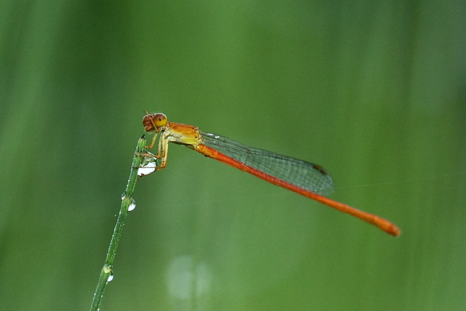 e0249878_081262.jpg