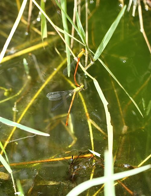e0249878_1802451.jpg