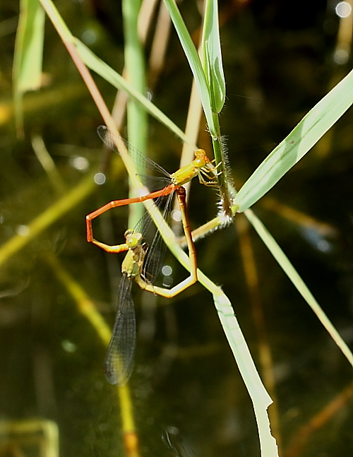 e0249878_1821431.jpg