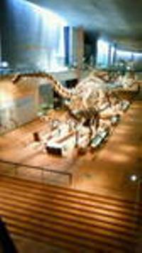 f0153383_17532735.jpg
