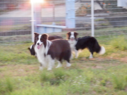 c0120585_21485399.jpg