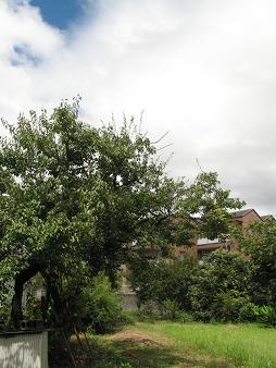 e0130185_11215378.jpg