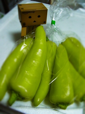 a0260090_048766.jpg