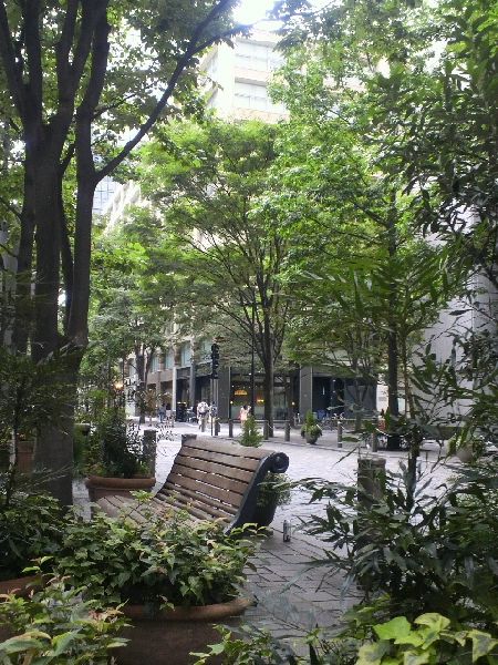 d0173197_19594724.jpg