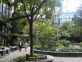 d0173197_2015121.jpg
