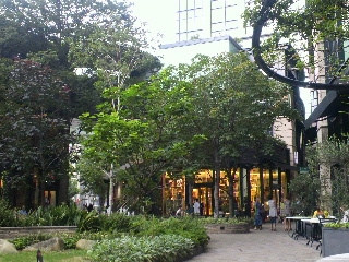d0173197_20455226.jpg