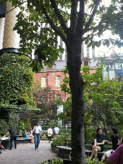 d0173197_20512950.jpg