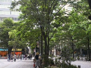 d0173197_2071919.jpg