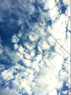d0195998_23564649.png