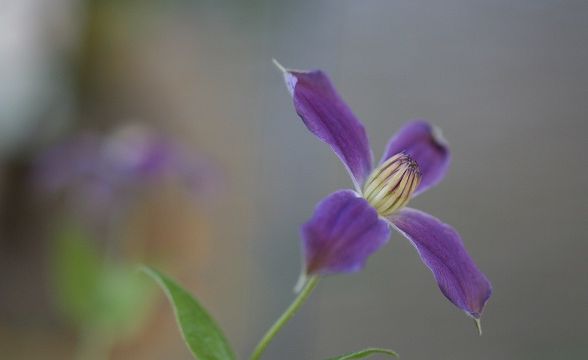e0082098_1037630.jpg