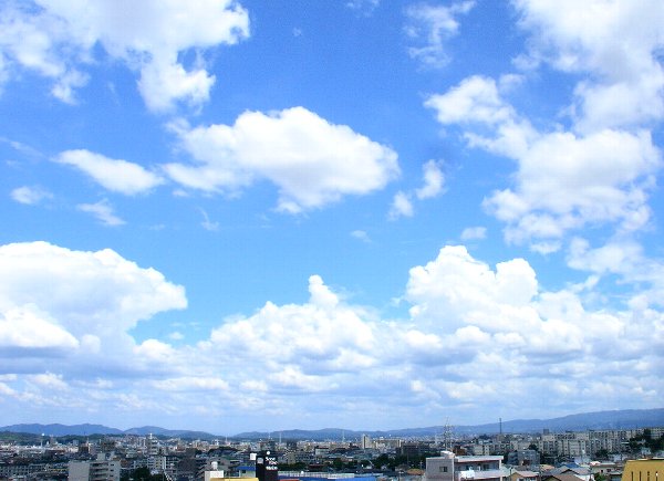 a0031000_1055867.jpg