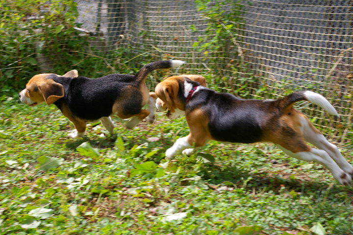 d0256800_2245642.jpg