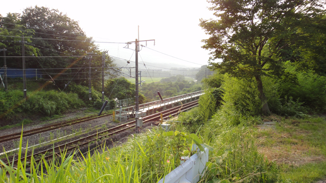 d0004301_2293561.jpg