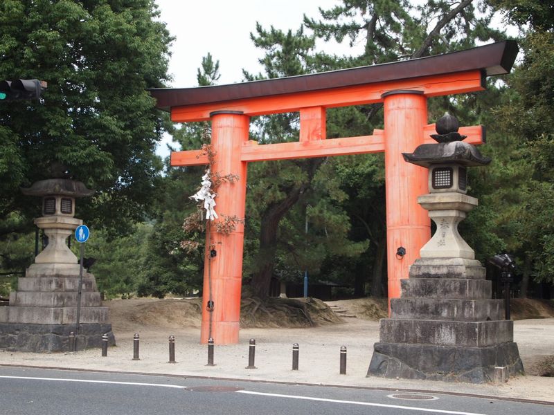 a0050302_11294954.jpg