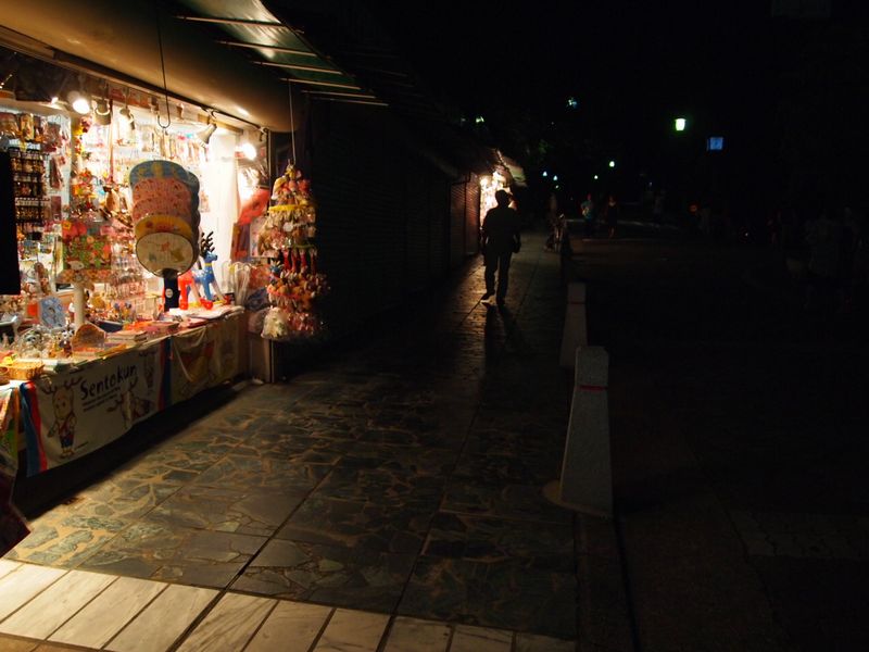 a0050302_12184723.jpg