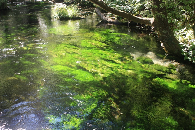 f0218002_16464486.jpg