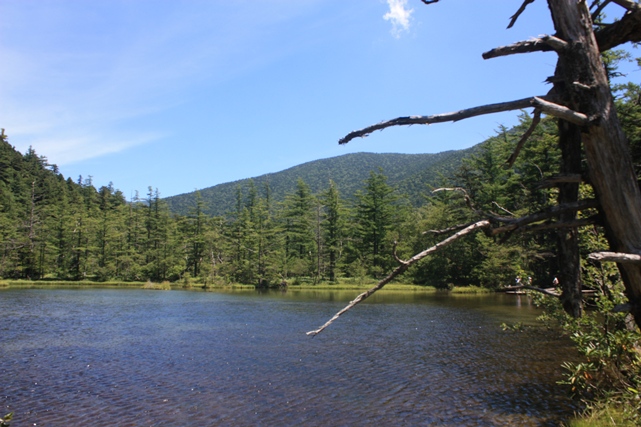 f0218002_16533969.jpg