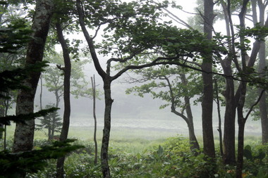 c0148705_17351224.jpg