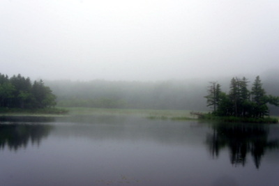 c0148705_17405668.jpg