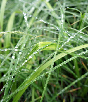 c0148705_21164168.jpg