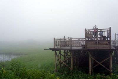 c0148705_22554734.jpg