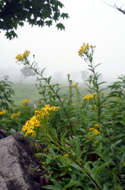 c0148705_22562282.jpg
