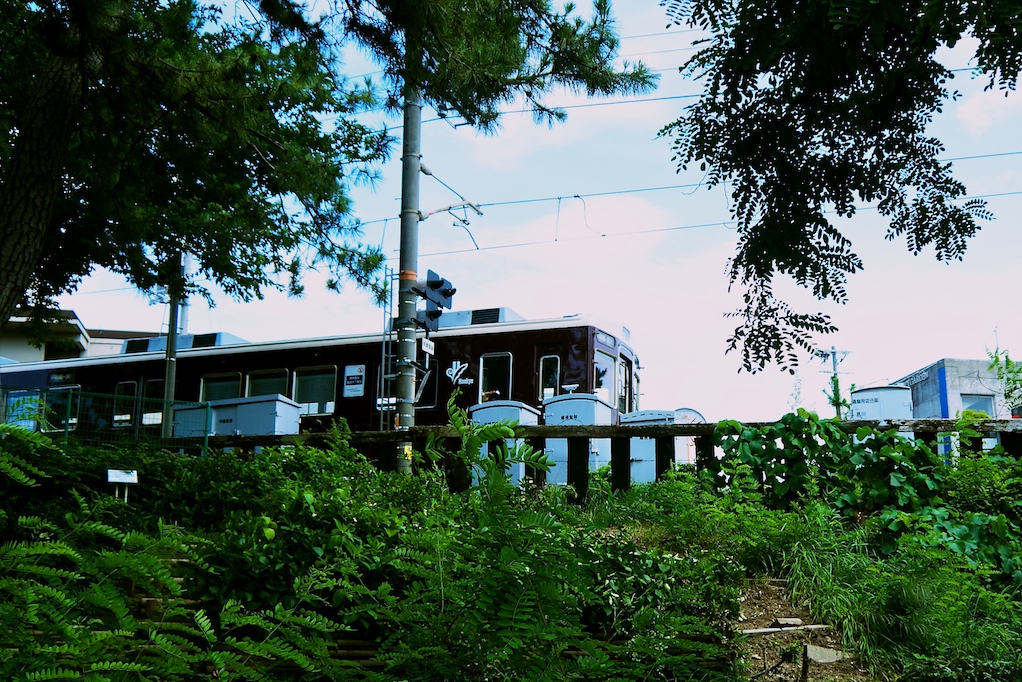 d0119505_1455675.jpg