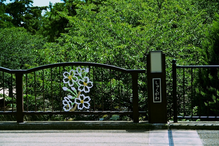 d0119505_147972.jpg