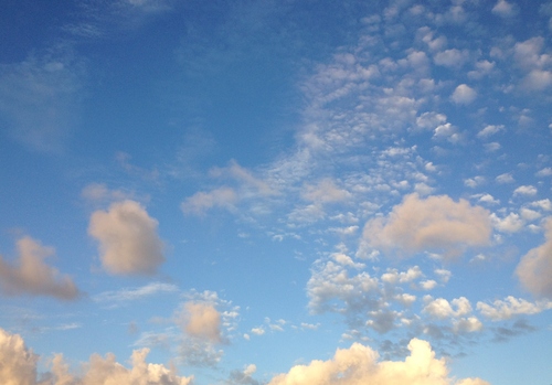 c0132608_1835280.jpg