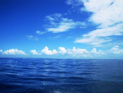 e0123808_22344416.jpg