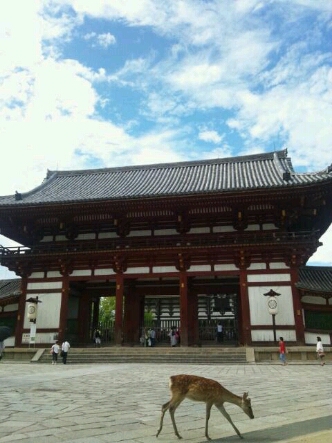 e0272108_1223457.jpg