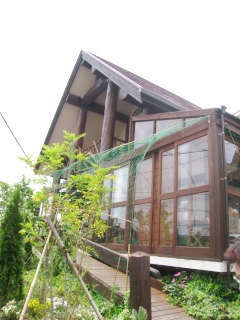 f0040310_1733614.jpg