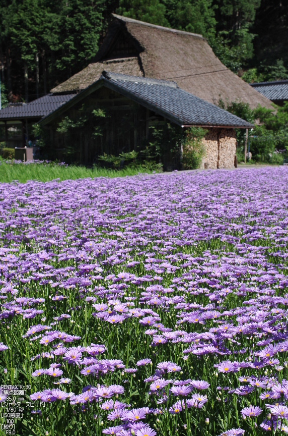 f0221510_2334377.jpg