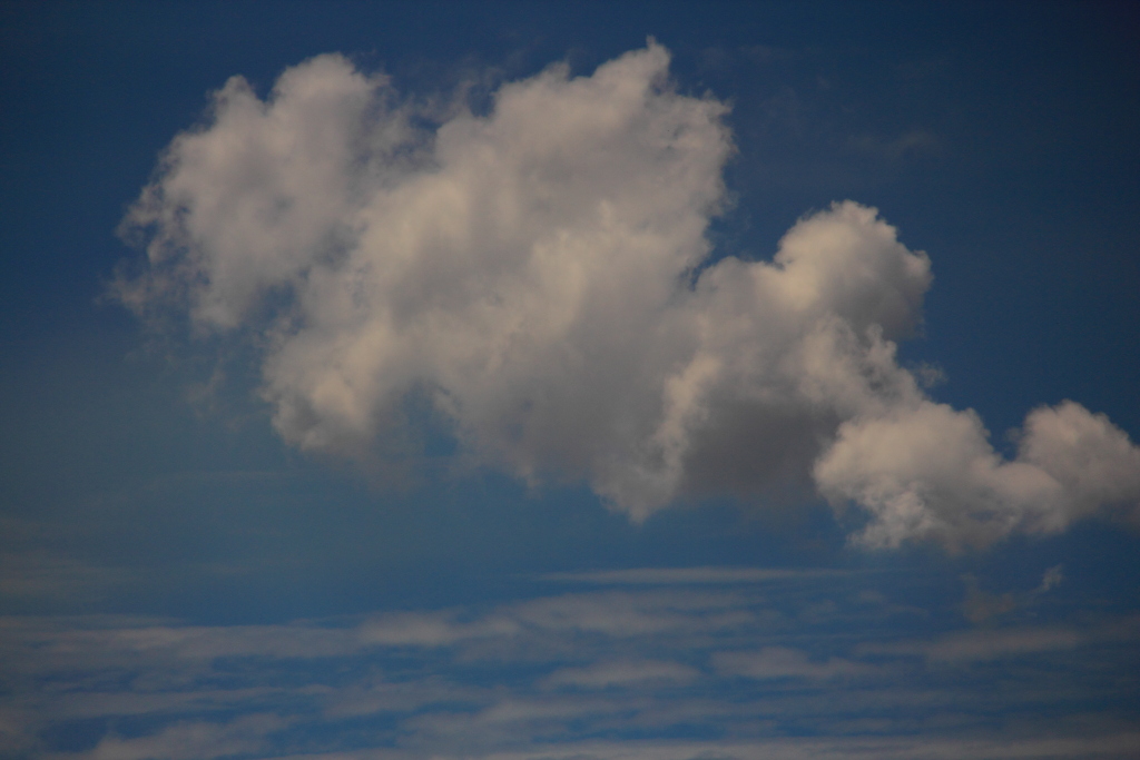 a0278716_20425869.jpg