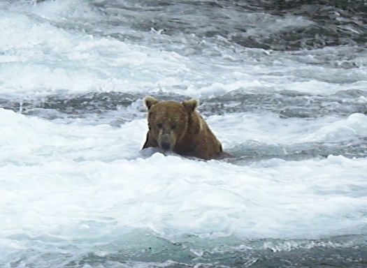 d0098316_1743465.jpg
