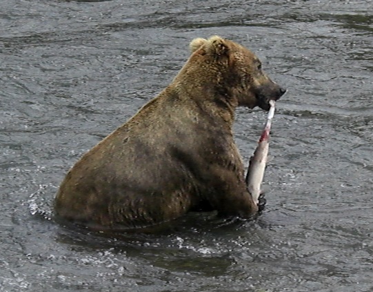 d0098316_18301414.jpg