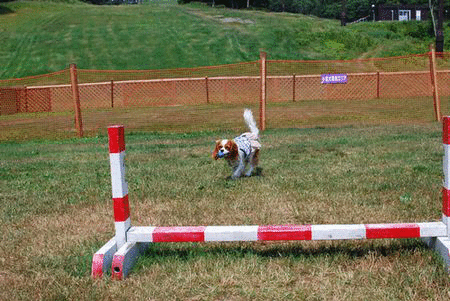 f0214121_10382636.gif