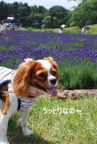 f0214121_10514511.jpg