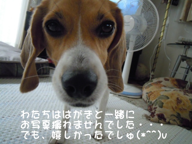 c0166622_14432571.jpg
